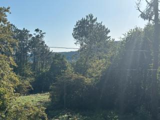 Aptos Ría San Cosme Aurora - 9