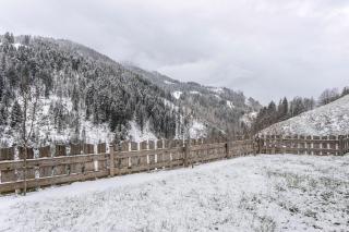 Apartment Berger - 9