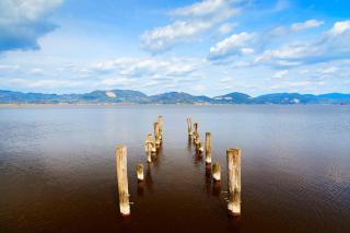 La Casa nel parco - 9