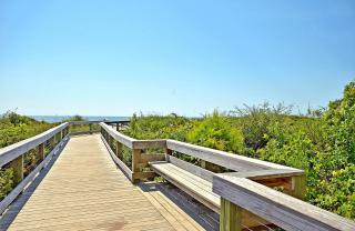 WS4463: 4463 Windswept - 4