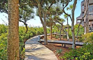 WS4463: 4463 Windswept - 2