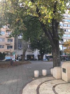 Park Oasis Centerpoint Residence - 7