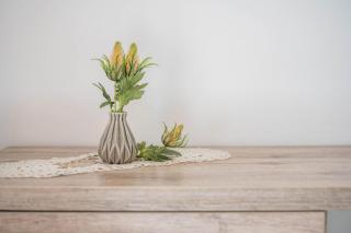 Apartment Sciadules - 9