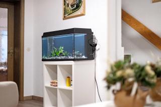 Pension zum Europapark- Kaiserstuhl - 9