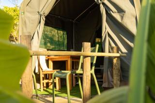 Safari Glamping Portugal Penguin - 1