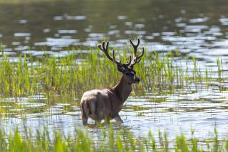 Ferienwohnungen am Federower Hofsee - 7