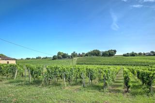 Au Charmant Des Vignes - 9