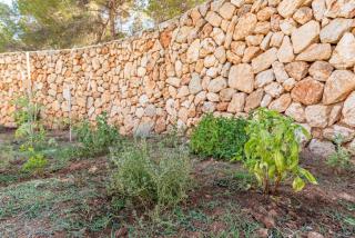 Villa Del Mar Mondrago - 6