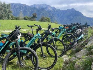 Bellagio Baita treeb - 9