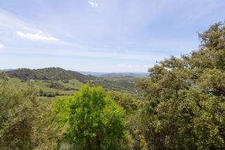 Los Algarrobos Gaucin - 9