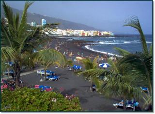 Bonito apart sea view playa jardin - 8