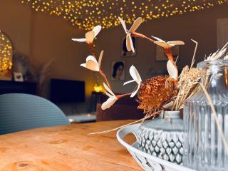 Ciel Etoilé Cocon Chic en hyper-centre - 8