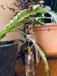 Ciel Etoilé Cocon Chic en hyper-centre - 6