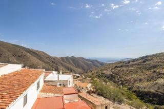 Zarzamora de Rubite - 6