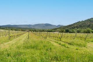 Maison Marvic, Le Tilleul T3 - 7