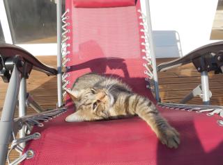 L'Eco-logis du Clos Des Tilleuls - 7