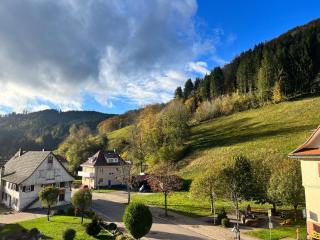 Ferienwohnung Schwarzwaldliebe - 8