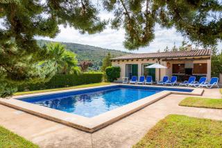 La Vinya del Beato 1950 - 7