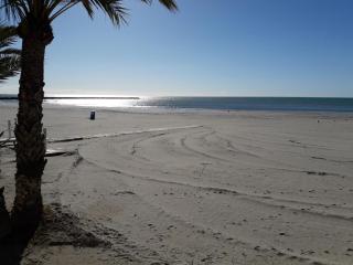 Antina 12 en Santa Pola - 5