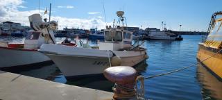 Antina 12 en Santa Pola - 3