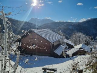 Chalet de la Joux - 8