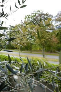 Modernes 2-Zimmer Apartment mit Balkon - 8