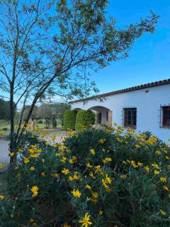 Casa Bali Costa Brava - 6