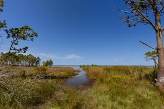 Maison de charme au bord du lac - 9