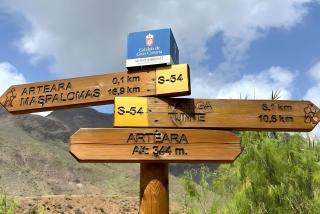 Finca House By Fataga Maspalomas - Artedara - 5