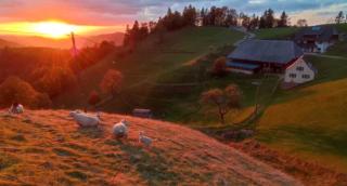 Haus Sattelgrund - 9