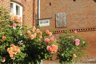 Damwildhof Fewo zur Kastanie - 6