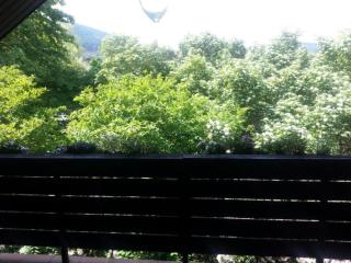 Ferienwohnung Quaisser - 5