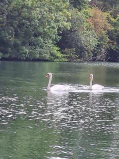 Gite La baragane - 9