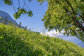Ferienwohnung Pinot - Merano - 6