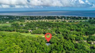 HH2611: 2611 High Hammock - 6