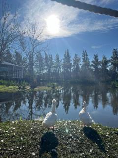 La Posada Multiespacios - 4