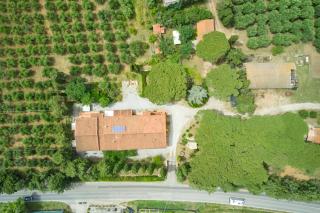 Antichi Palmenti - Ginepro - 7