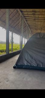 Bodhi Nature Retreat Hampi - 7