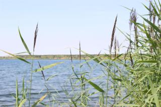 Lifestyle Ferienhaus - 9