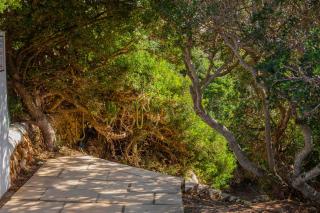 Apartamento Cala en Forcat 36 - 8