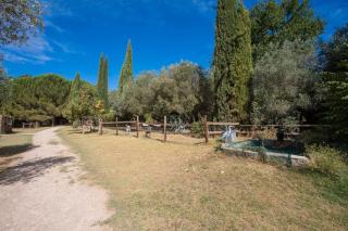 L’oliveraie Écuries Mas di Gau - 7