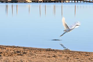 Villa La Mariposa - 9