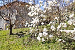 Casa dei Tigli - Ormea - 6
