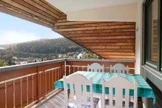 Panorama Apartment Todtmoos - 8