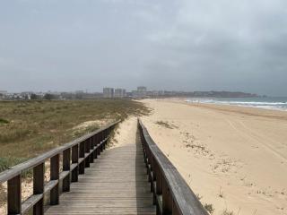 The Studio - Pet friendly - 8