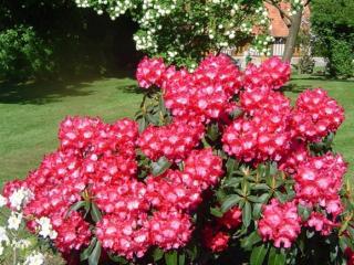 Maison Normande Proximi De La Mer - 9
