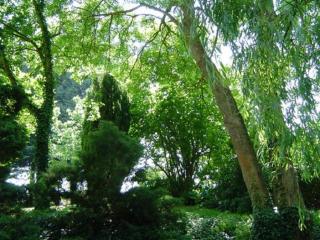 Maison Normande Proximi De La Mer - 8