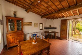 Vallone di Cecione - Greve in Chianti - 4