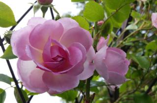 Fewo Eitermoser Afrikanischer Traum - 8