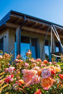 Casa Vacanze Elios - 2